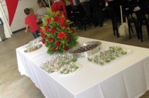 IMG_3922 (2)